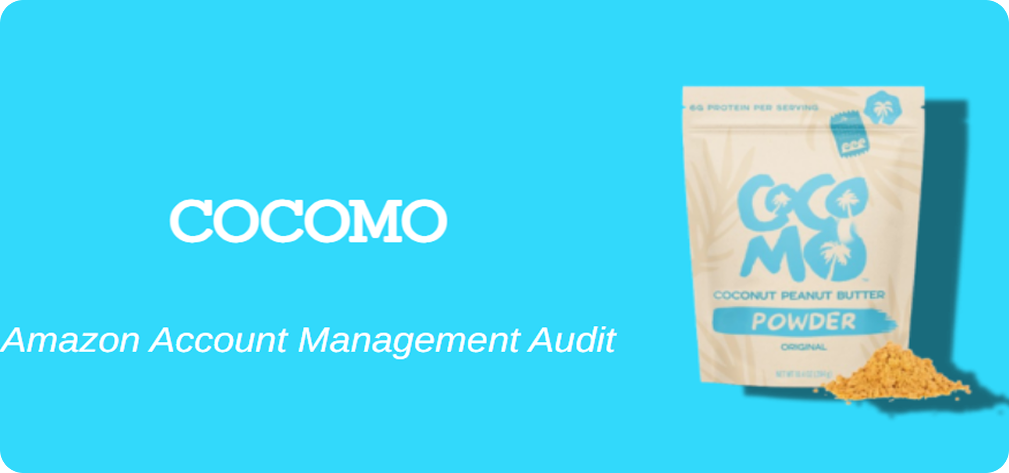 COCOMO - Account Management Audit